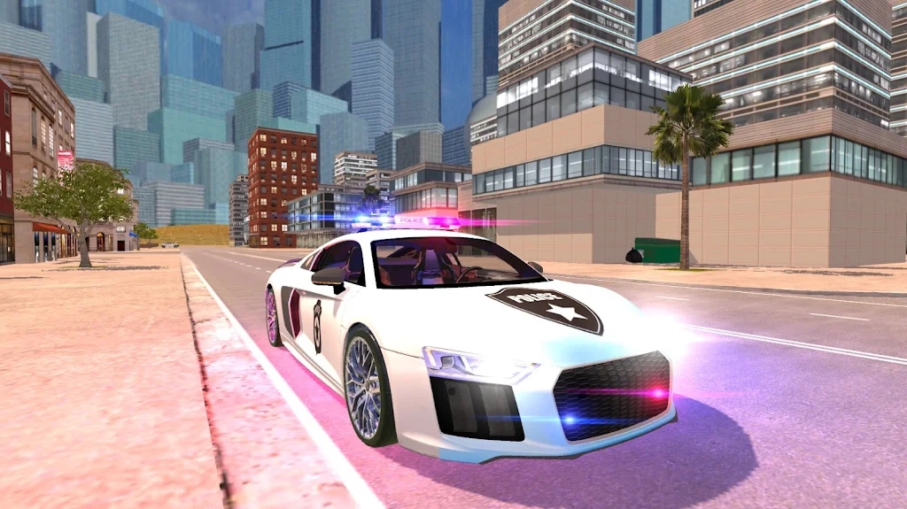 R8警察模拟2021